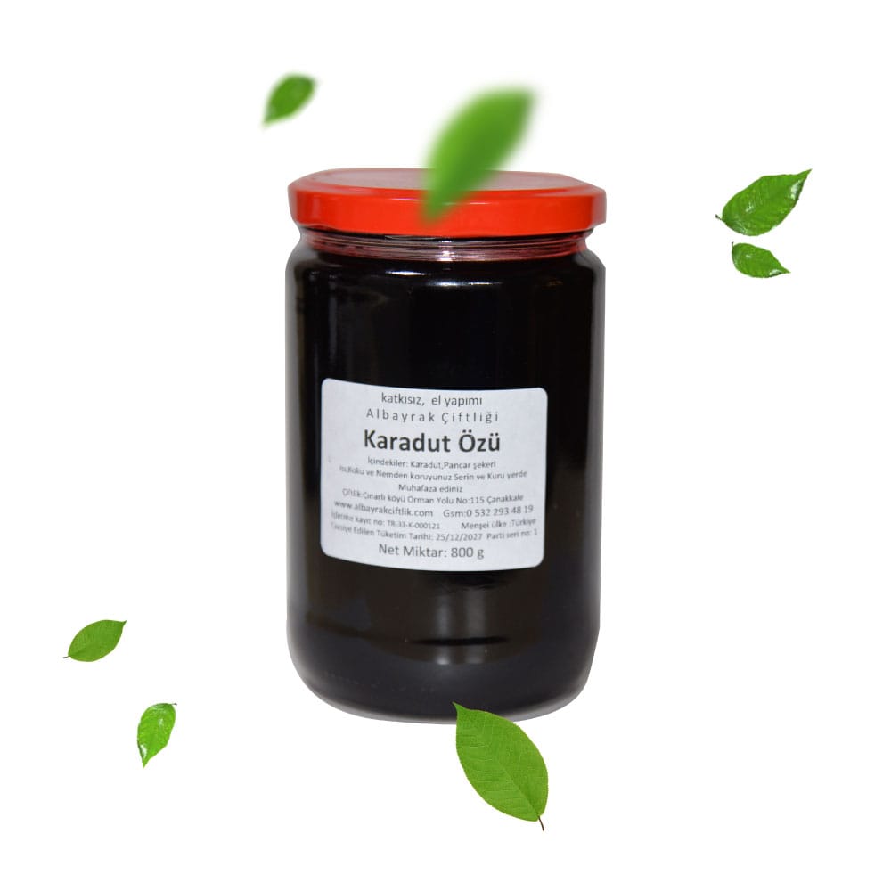 Karadut Özü 800g